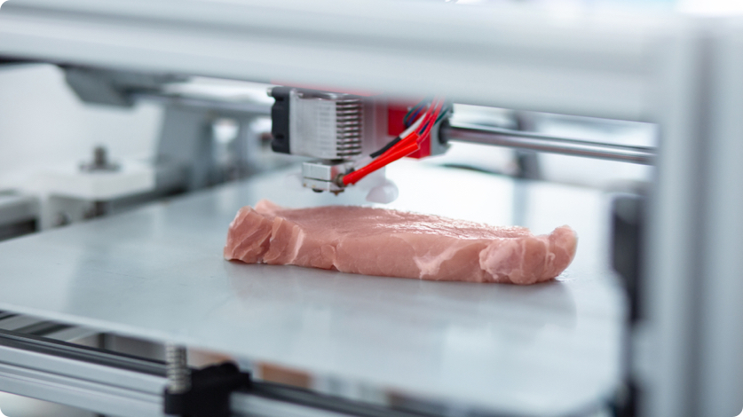 Meat &amp; Fish Artificial Substitutes - Time Economy